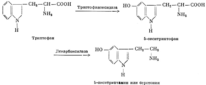 5-окситриптамин или Серотонин