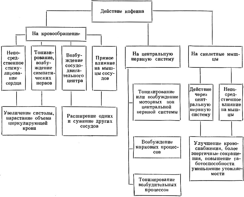 Таблица 27. Фармакодинамика стимуляторов центральной нервной системы