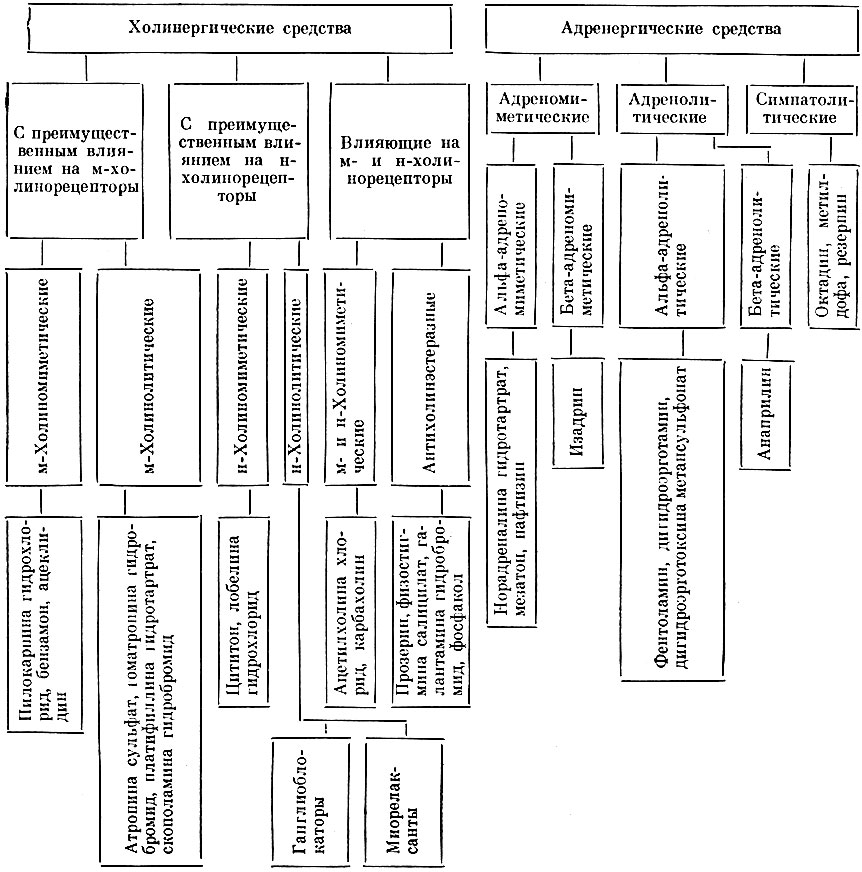 Таблица 30. Классификация лекарственных средств, действующих в области окончаний автономной нервной системы
