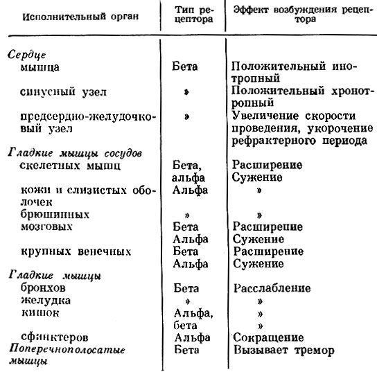 Таблица 42. Адренорецепторы и их функциональное значение (В. Г. Воробьев, В. В. Ряженов)