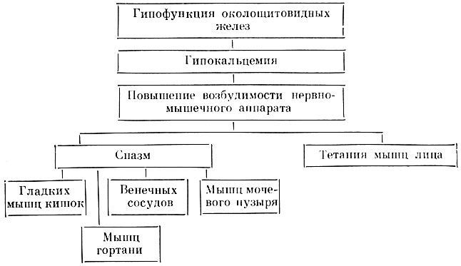 Таблица 64. Схема патогенеза и проявлений гипокальцемии