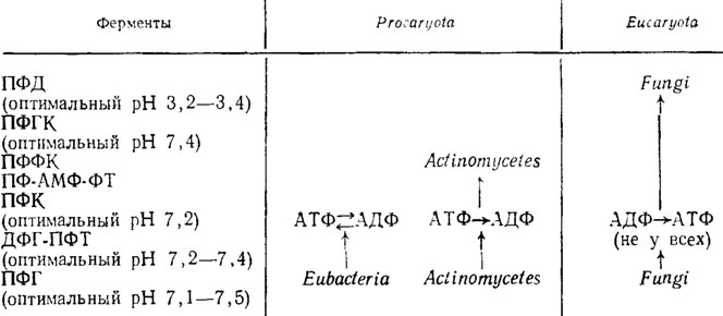 Таблица 1.6. Включение в метаболизм полифосфатов различных ферментов у бактерий, актиномицетов и грибов (Кулаев, 1975) (стрелками показано наличие ферментов в данной группе организмов)