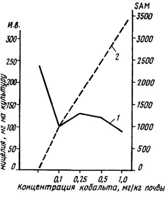 Рис. 2.7. Интенсивность заболевания хлопчатника фузариозным вилтом (и. в. - 1) и накопление в нем переносчика метильных групп S-аденозилметионина (SAM - 2) при различных дозировках кобальта в почве (Беккер, Полетаева, 1971)