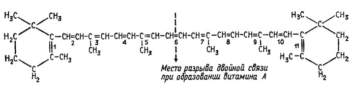 Рис. 5.7. Структура р-каротина и формирование из него витамина А