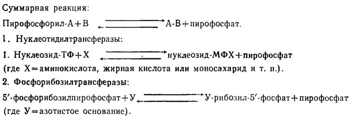 Таблица 6.2. Пути образования пирофосфата у грибов (Кулаев, 1975)