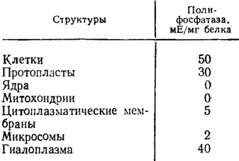 Таблица 6.4. Удельная активность полифосфатазы в клетках и их органеллах (Кулаев, 1975)